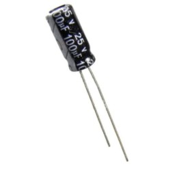 100uF 25V Electrolytic Capacitor